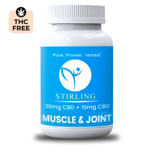 Muscle & Joint Capsule Main Image