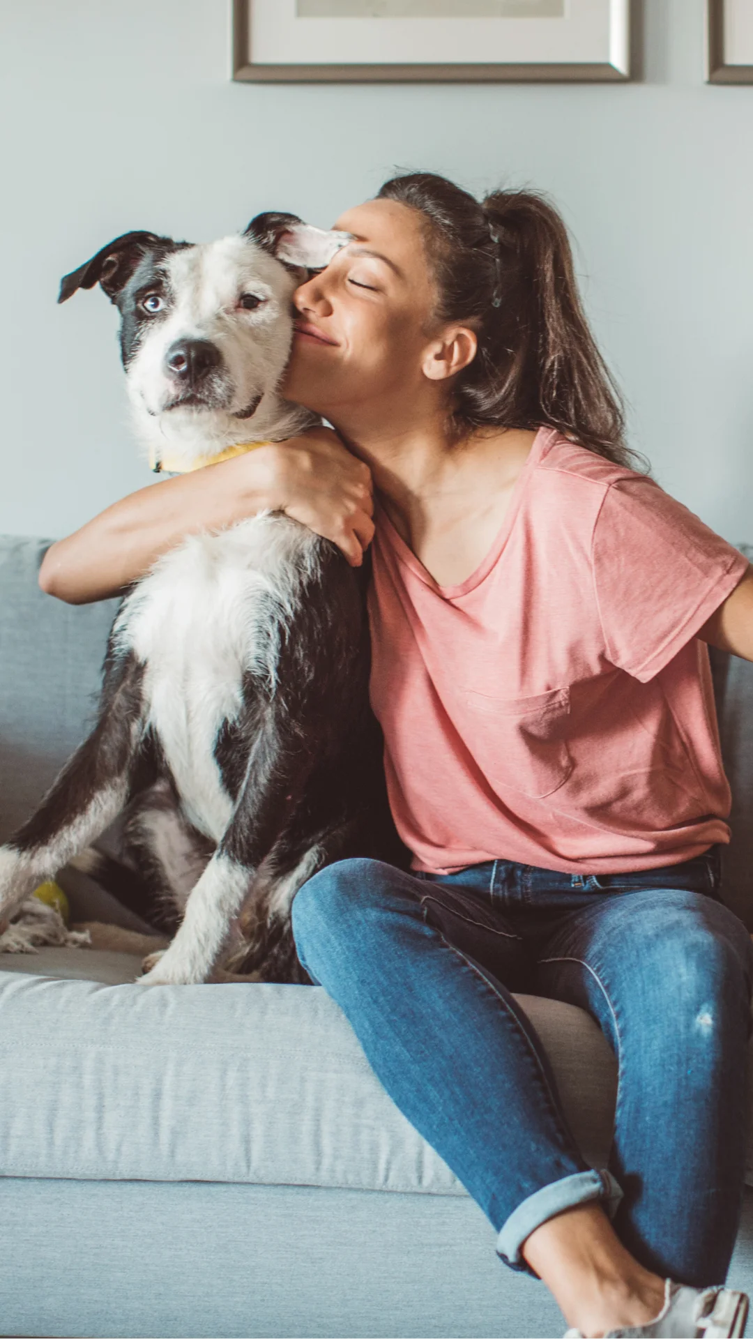 Pets